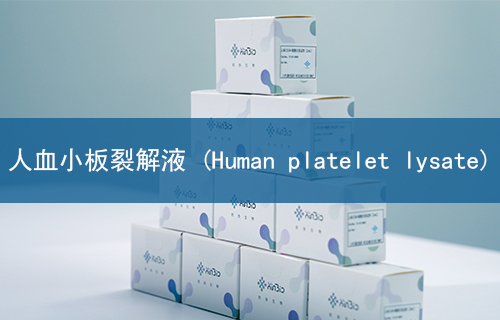 人血小板裂解液 (Human platelet lysate)